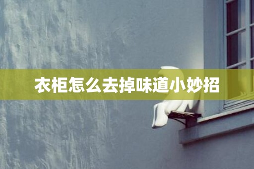 衣柜怎么去掉味道小妙招