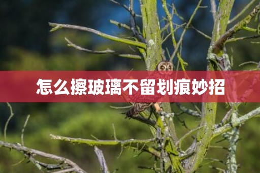 怎么擦玻璃不留划痕妙招