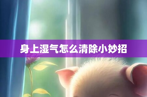 身上湿气怎么清除小妙招