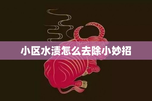 小区水渍怎么去除小妙招
