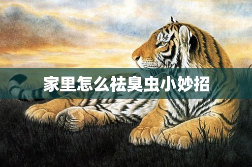 家里怎么祛臭虫小妙招