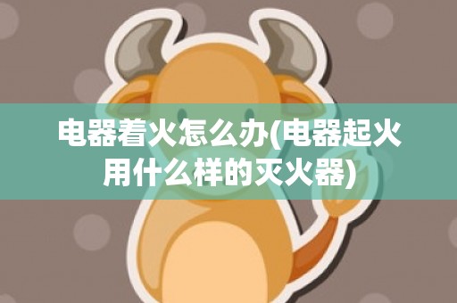 电器着火怎么办(电器起火用什么样的灭火器)