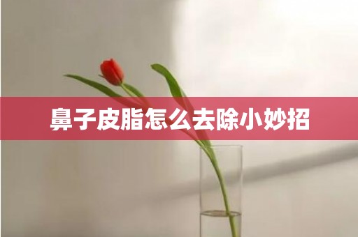 鼻子皮脂怎么去除小妙招