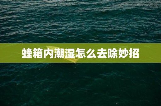 蜂箱内潮湿怎么去除妙招