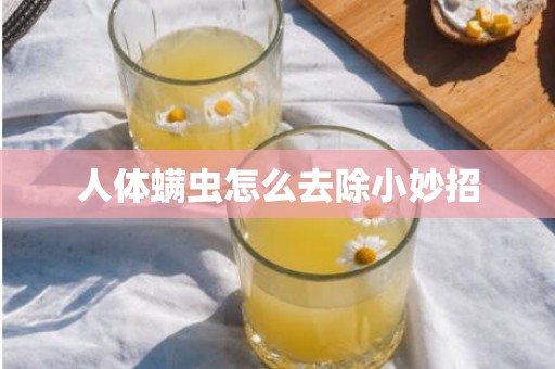 人体螨虫怎么去除小妙招