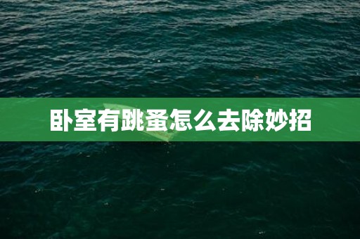 卧室有跳蚤怎么去除妙招