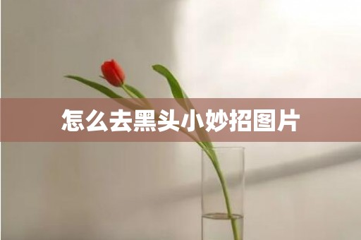 怎么去黑头小妙招图片