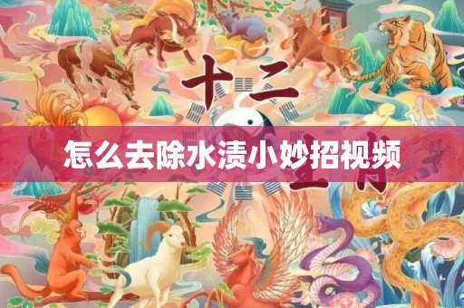 怎么去除水渍小妙招视频