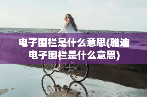 电子围栏是什么意思(雅迪电子围栏是什么意思)