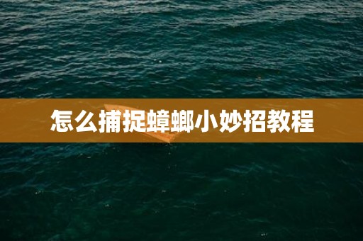 怎么捕捉蟑螂小妙招教程