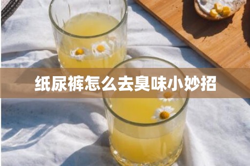 纸尿裤怎么去臭味小妙招