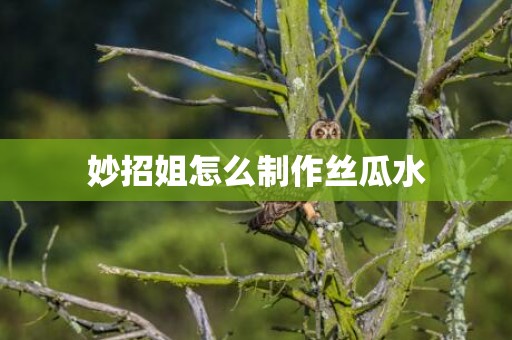 妙招姐怎么制作丝瓜水