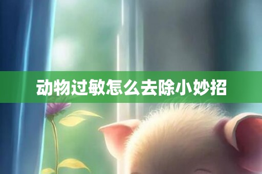 动物过敏怎么去除小妙招