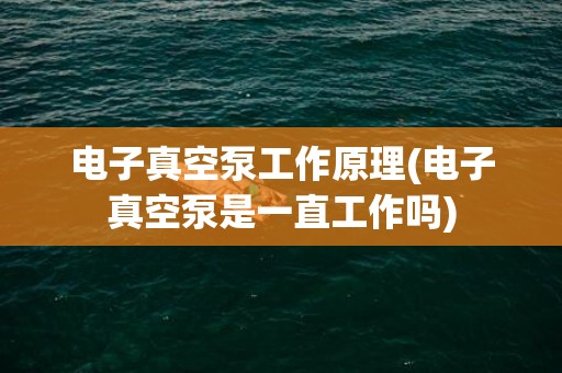 电子真空泵工作原理(电子真空泵是一直工作吗)