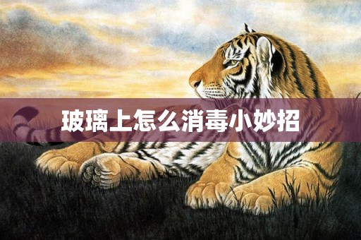 玻璃上怎么消毒小妙招