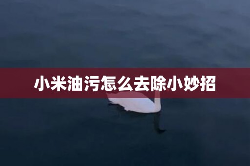 小米油污怎么去除小妙招