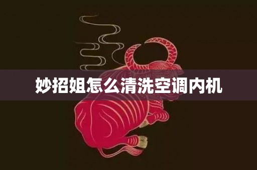 妙招姐怎么清洗空调内机