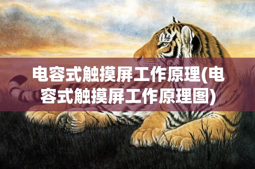 电容式触摸屏工作原理(电容式触摸屏工作原理图)