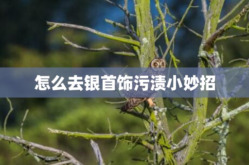 怎么去银首饰污渍小妙招