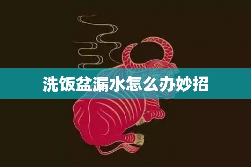 洗饭盆漏水怎么办妙招