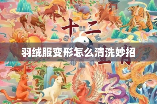 羽绒服变形怎么清洗妙招