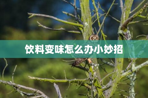 饮料变味怎么办小妙招