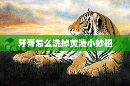 牙膏怎么洗掉黄渍小妙招