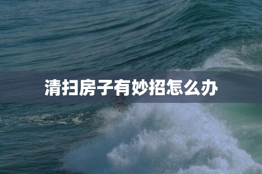 清扫房子有妙招怎么办