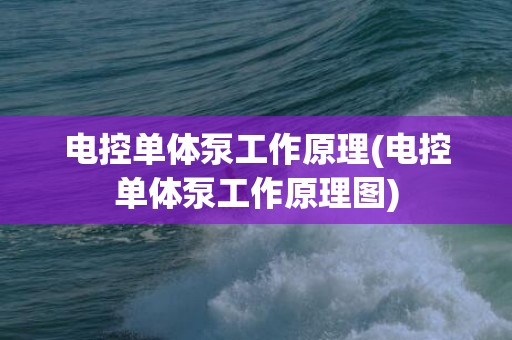 电控单体泵工作原理(电控单体泵工作原理图)