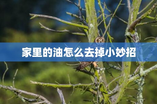 家里的油怎么去掉小妙招