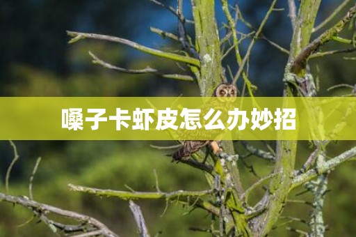 嗓子卡虾皮怎么办妙招