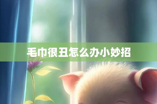 毛巾很丑怎么办小妙招