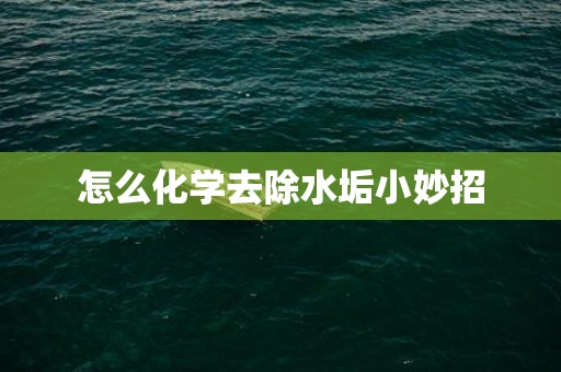 怎么化学去除水垢小妙招