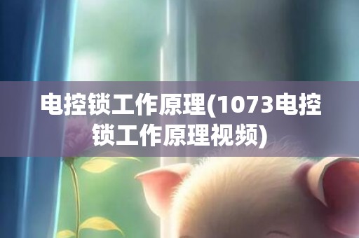电控锁工作原理(1073电控锁工作原理视频)