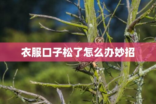 衣服口子松了怎么办妙招