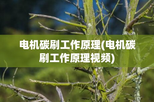 电机碳刷工作原理(电机碳刷工作原理视频)