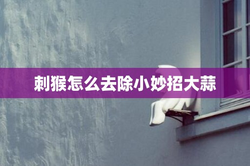 刺猴怎么去除小妙招大蒜