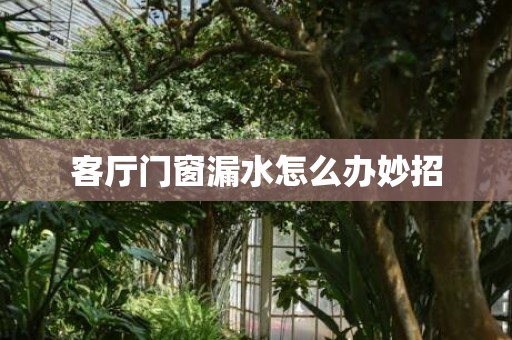 客厅门窗漏水怎么办妙招