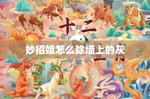 妙招姐怎么除墙上的灰