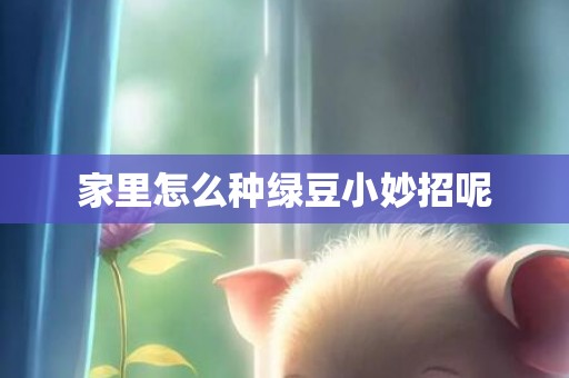 家里怎么种绿豆小妙招呢