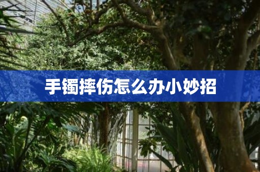 手镯摔伤怎么办小妙招