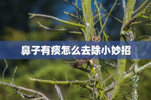 鼻子有痰怎么去除小妙招