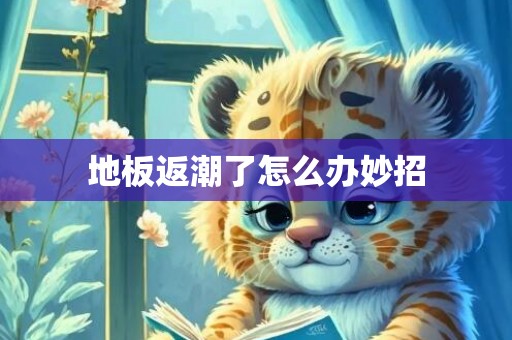 地板返潮了怎么办妙招