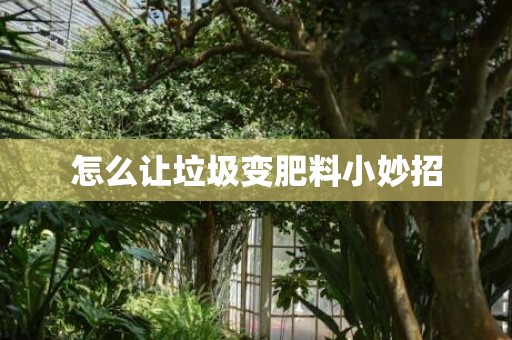 怎么让垃圾变肥料小妙招