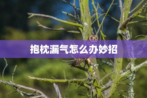 抱枕漏气怎么办妙招