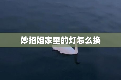 妙招姐家里的灯怎么换