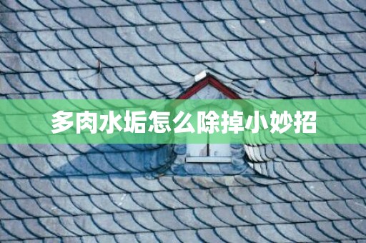 多肉水垢怎么除掉小妙招