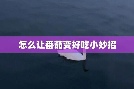 怎么让番茄变好吃小妙招