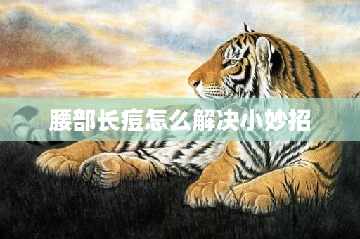 腰部长痘怎么解决小妙招