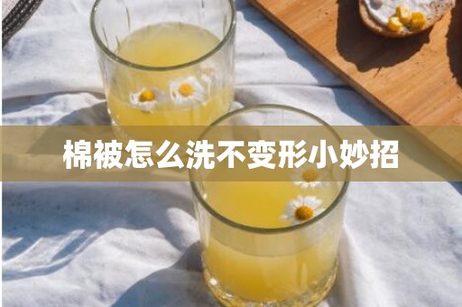 棉被怎么洗不变形小妙招